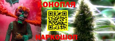прущие крисы Будённовск