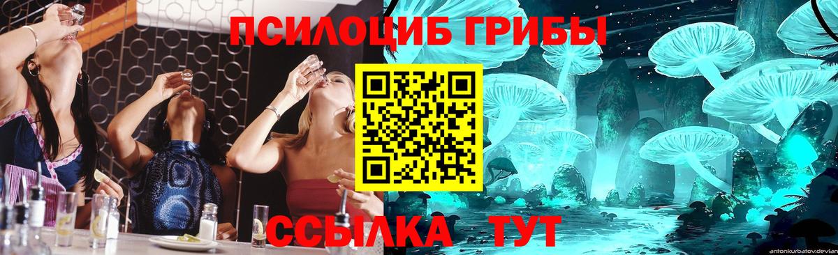 Галлюциногенные грибы GOLDEN TEACHER  наркошоп  Скопин  Вход с VPN  Псилоцибиновые грибы прущие грибы 